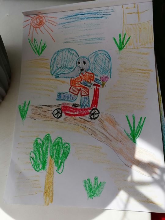 Тимофей Владимирович Дворцов