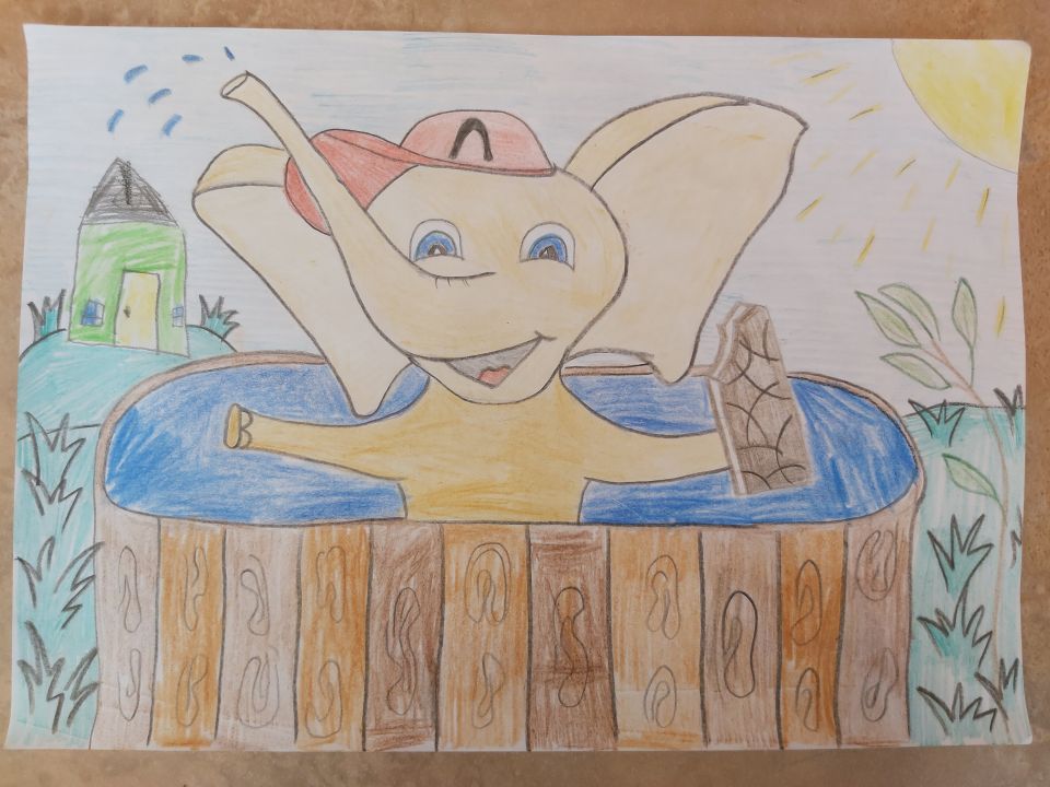 Рома Дмитриевич Савохин