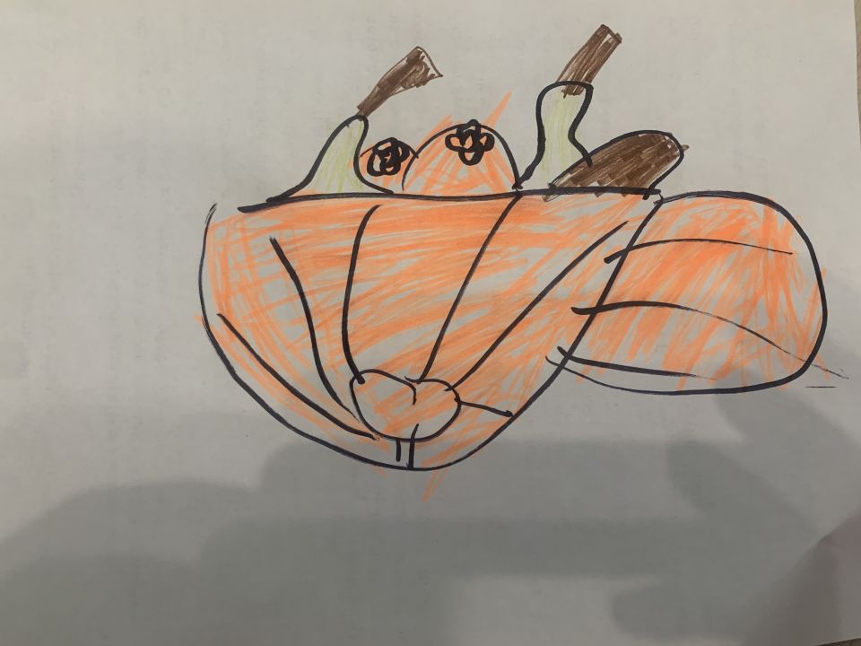 Зоя Андреевна Гамаюнова