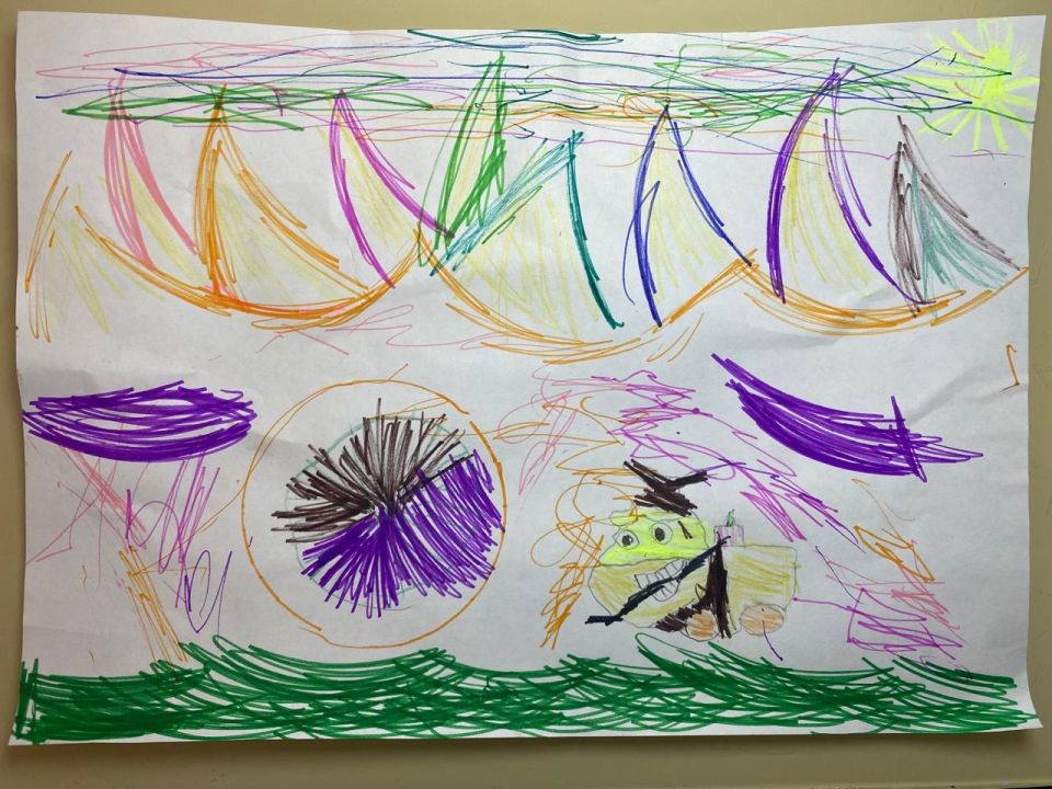 Алиева Амина Хизриевна