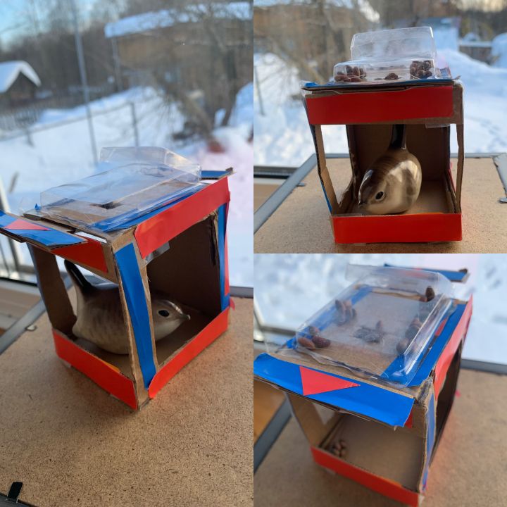 Пожарская Виктория