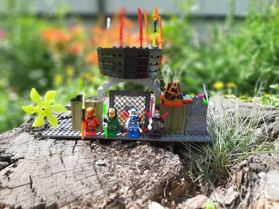 Николай Викторович Павлов