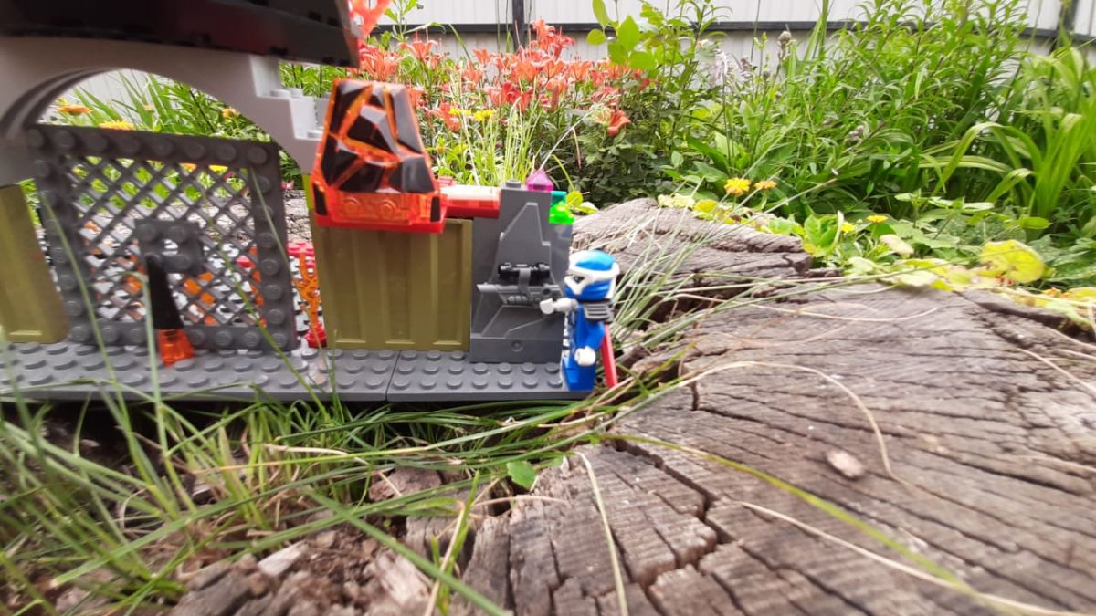 Николай Викторович Павлов