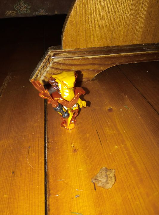 Варвара Ивановна Макарова