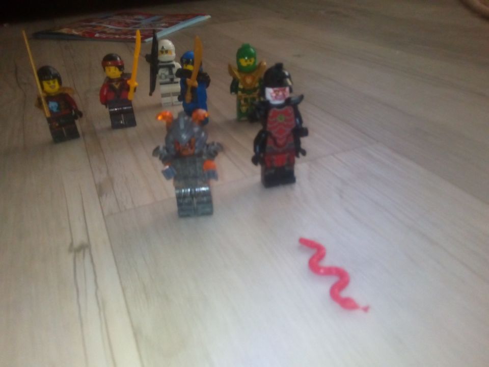 Саша Григорьев Дмитриевич