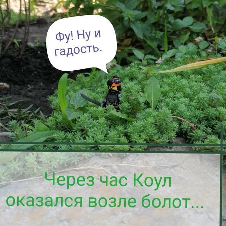 Эмирхан Артурович Мирхазов