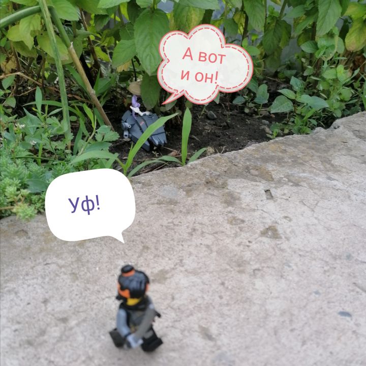 Эмирхан Артурович Мирхазов