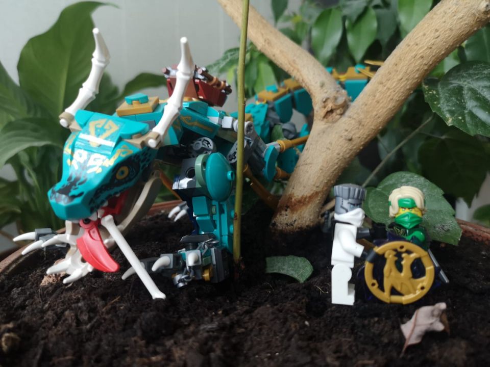 Максим Вадимович Гуз