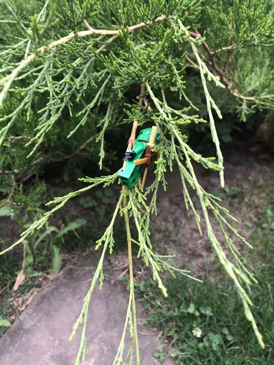 Артем Олегович Куроедов