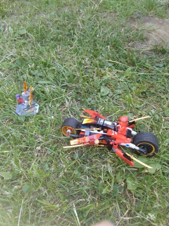 Даник Даниил Пушкин