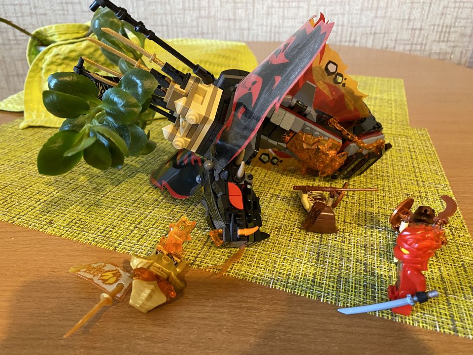 Илья Романович Ванюшкин