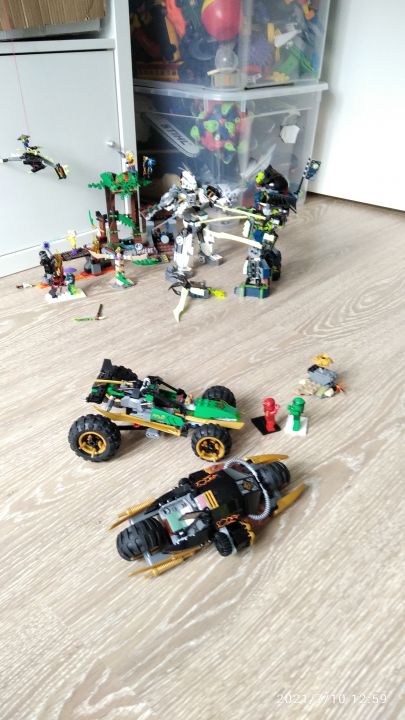 Данил и Леонид Дмитриевичи Баловы