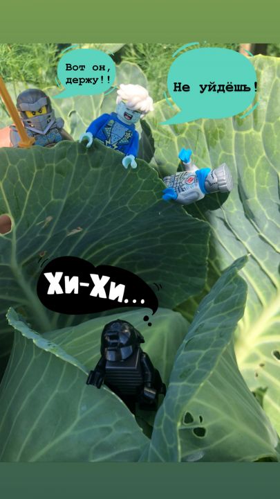 Роман Дмитриевич Новиков