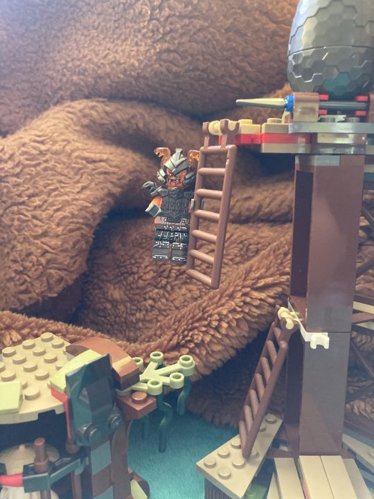 Денис Александрович Александров