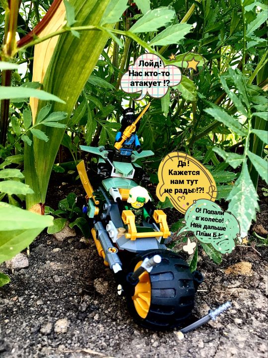 Дмитрий Эдуардович Низовский