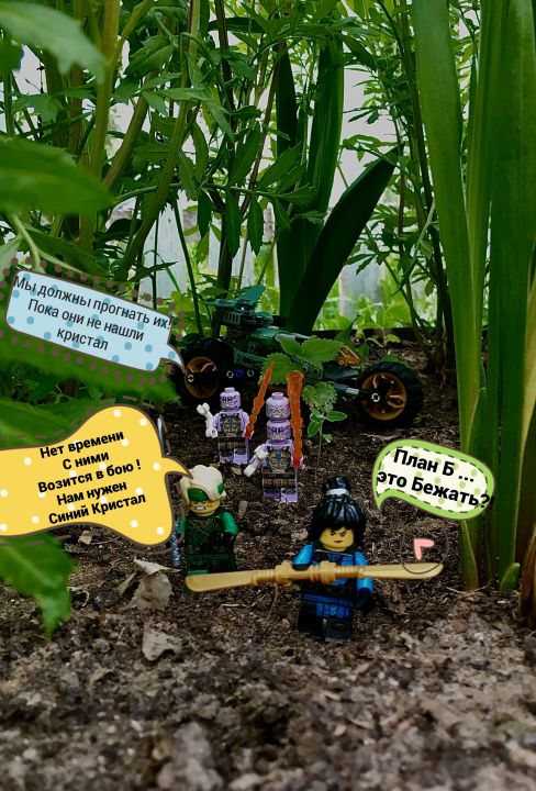 Дмитрий Эдуардович Низовский