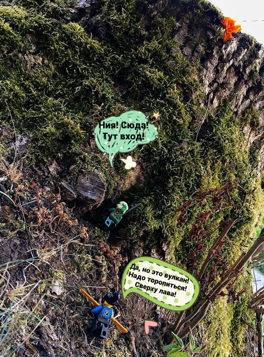 Дмитрий Эдуардович Низовский