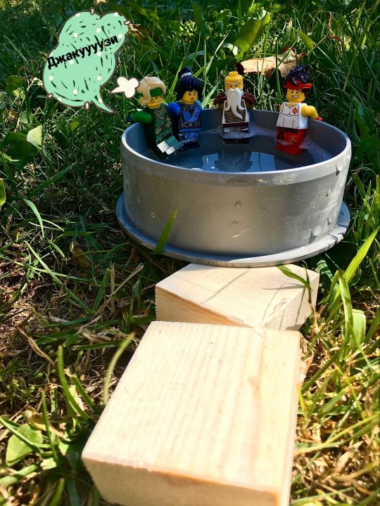 Дмитрий Эдуардович Низовский