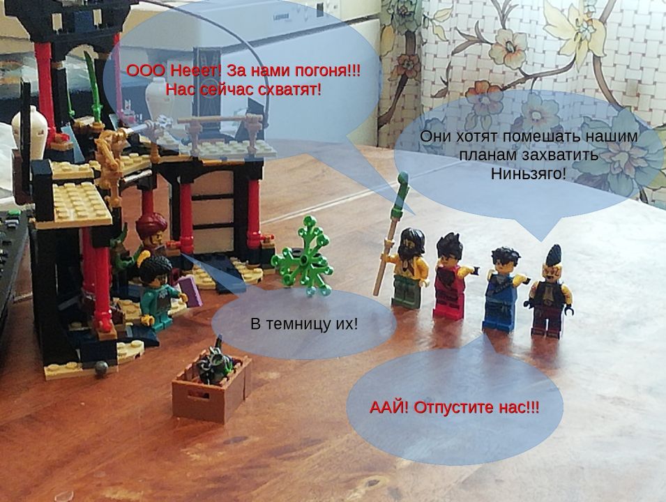 Арина Кушнир