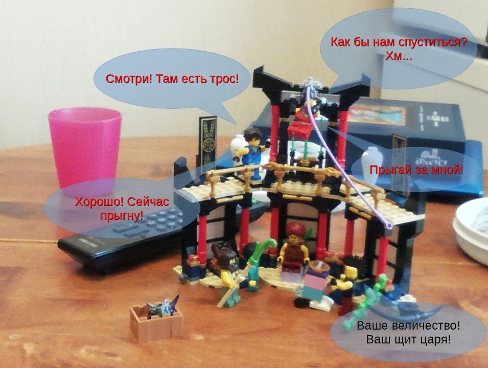 Арина Кушнир