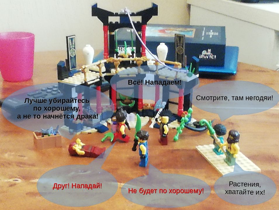 Арина Кушнир