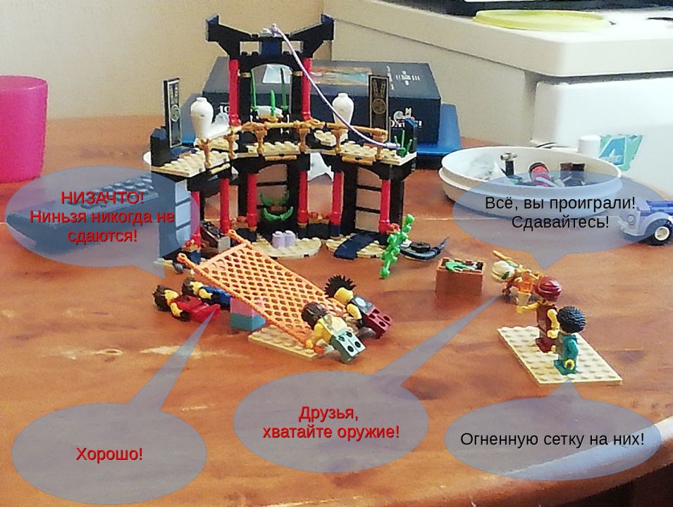 Арина Кушнир