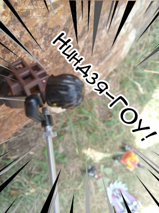 Тимофей Дмитриевич Титов