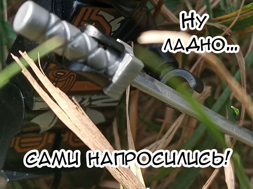 Тимофей Дмитриевич Титов