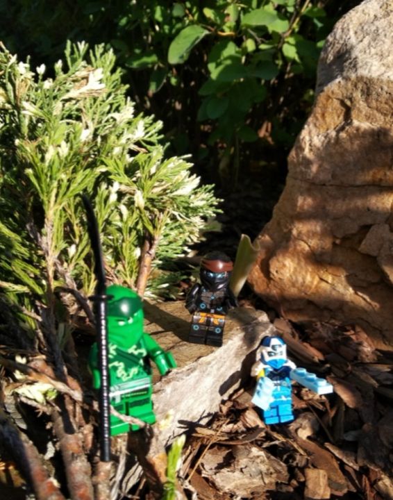 Матвей Максимович Феклистов