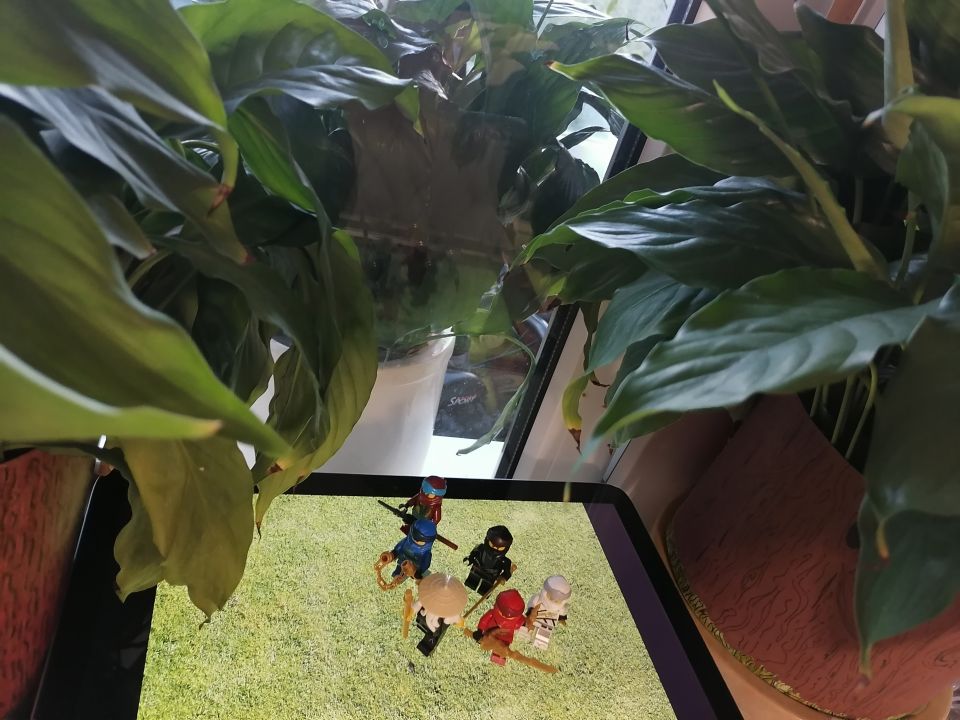 Владислав Вадимович Широков