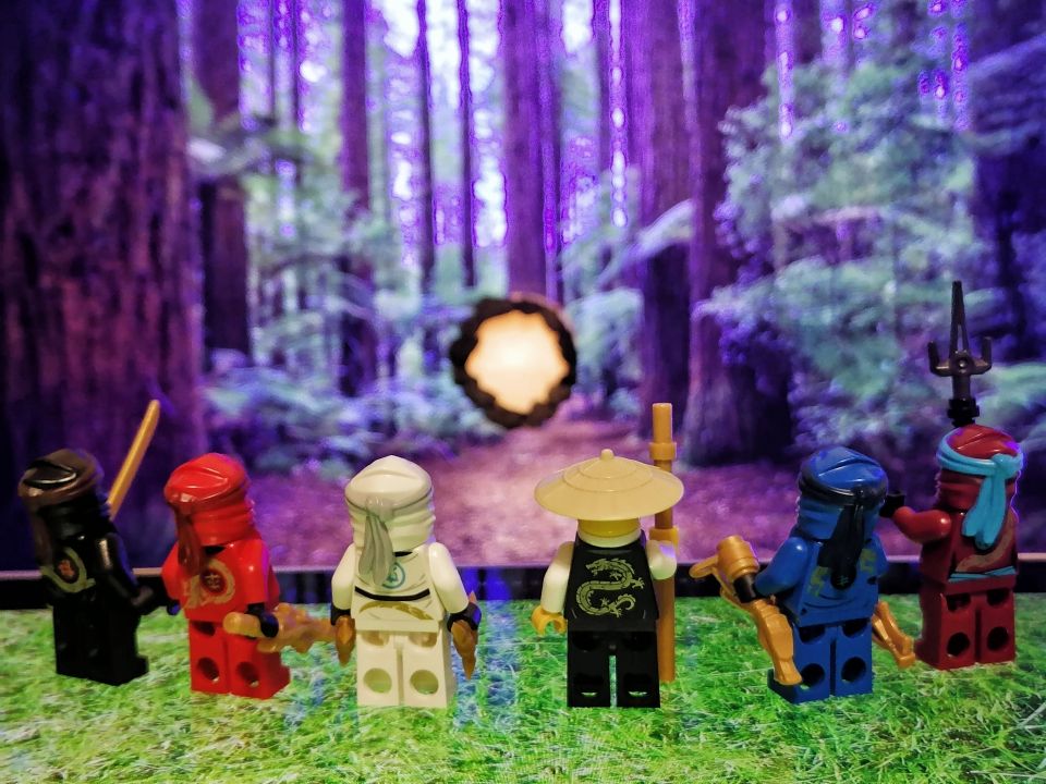 Владислав Вадимович Широков