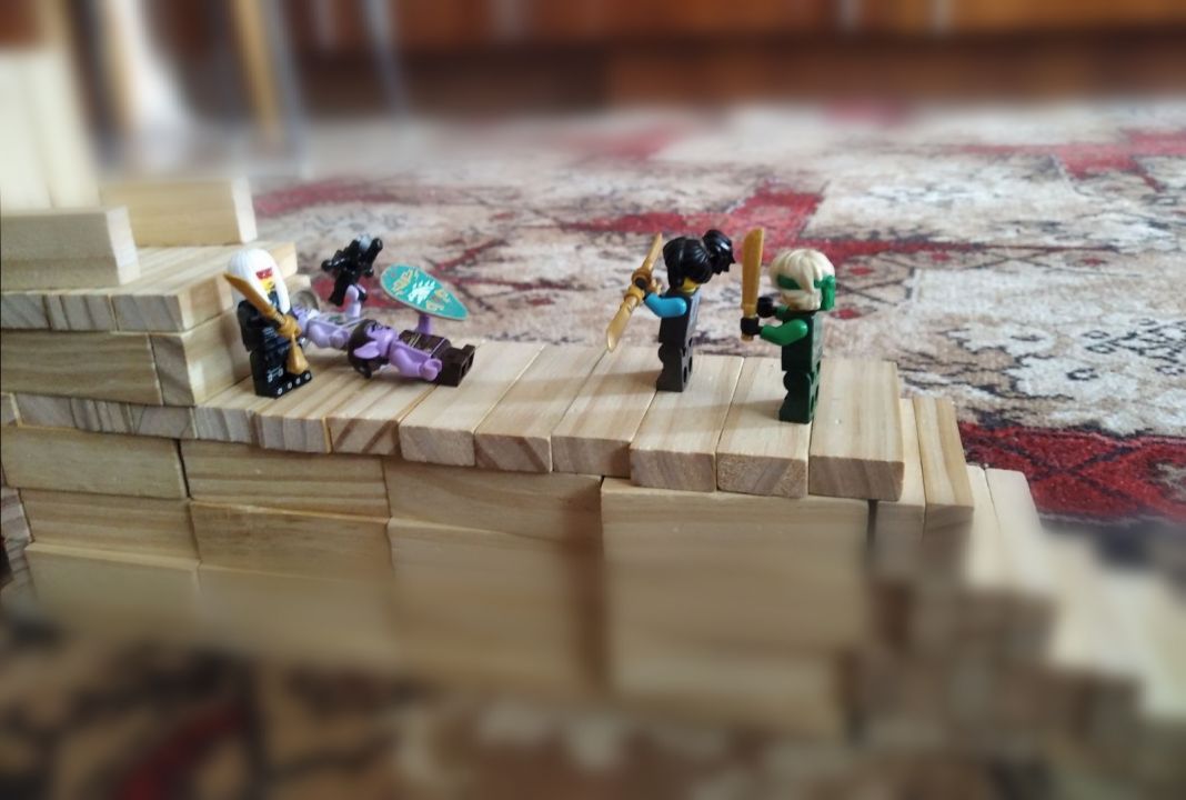 Владислав Михайлович Плотников