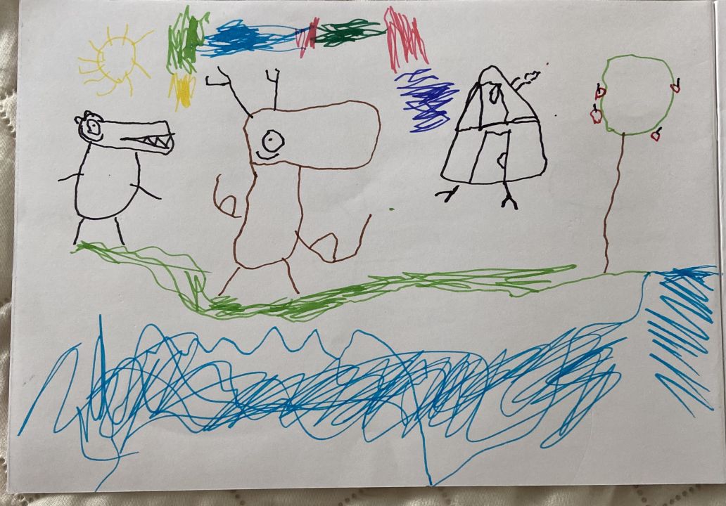 Эмир Самирович Насиров