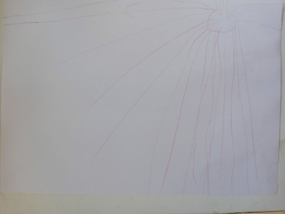 Полина Константиновна Швалева