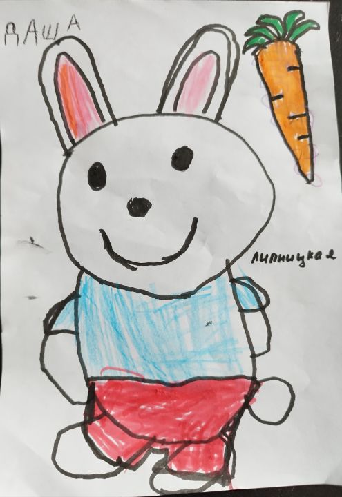 Дарья Ильинична Липницкая