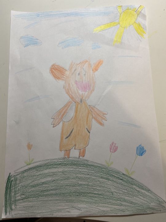 Таня Цихоцкая