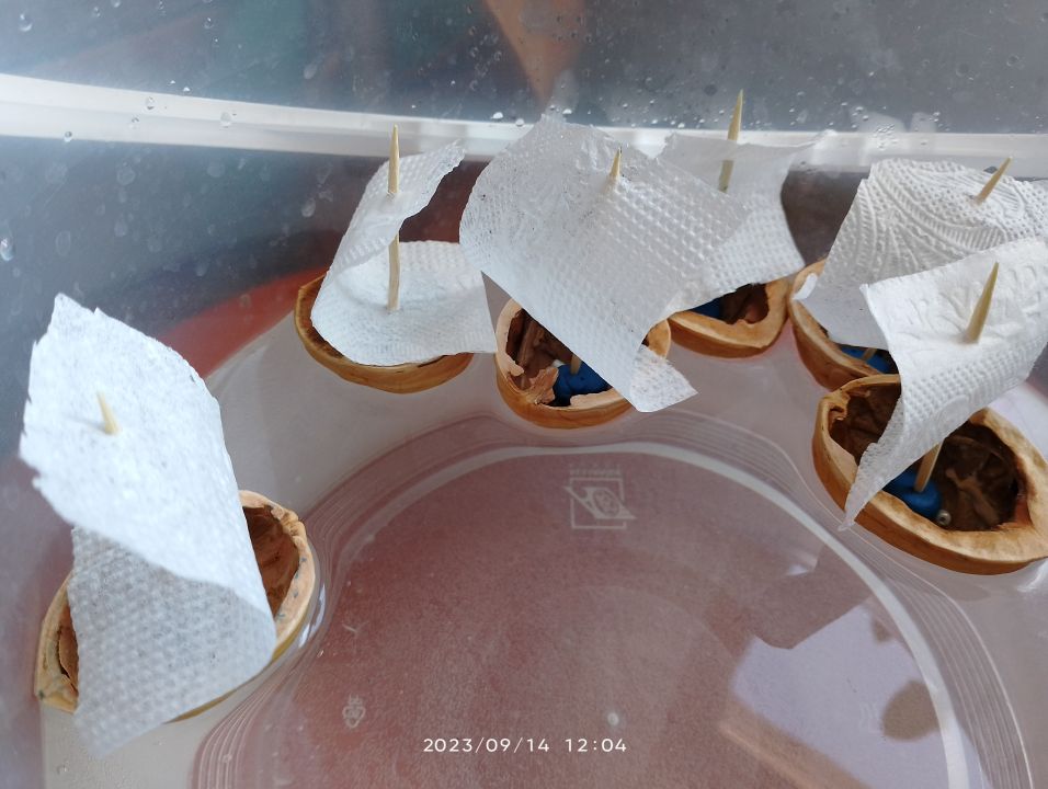 Тимофей Карпов