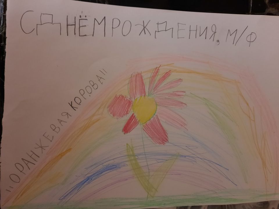 Наиля Ранисовна Ахмадуллина