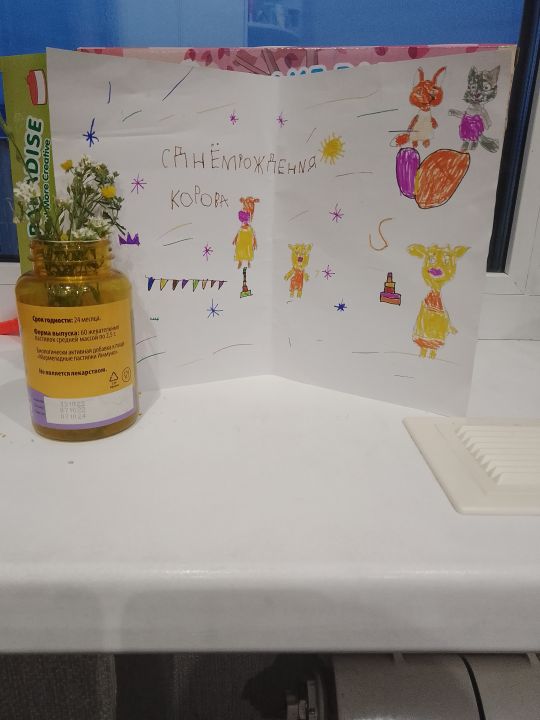 Дарья Сапожникова