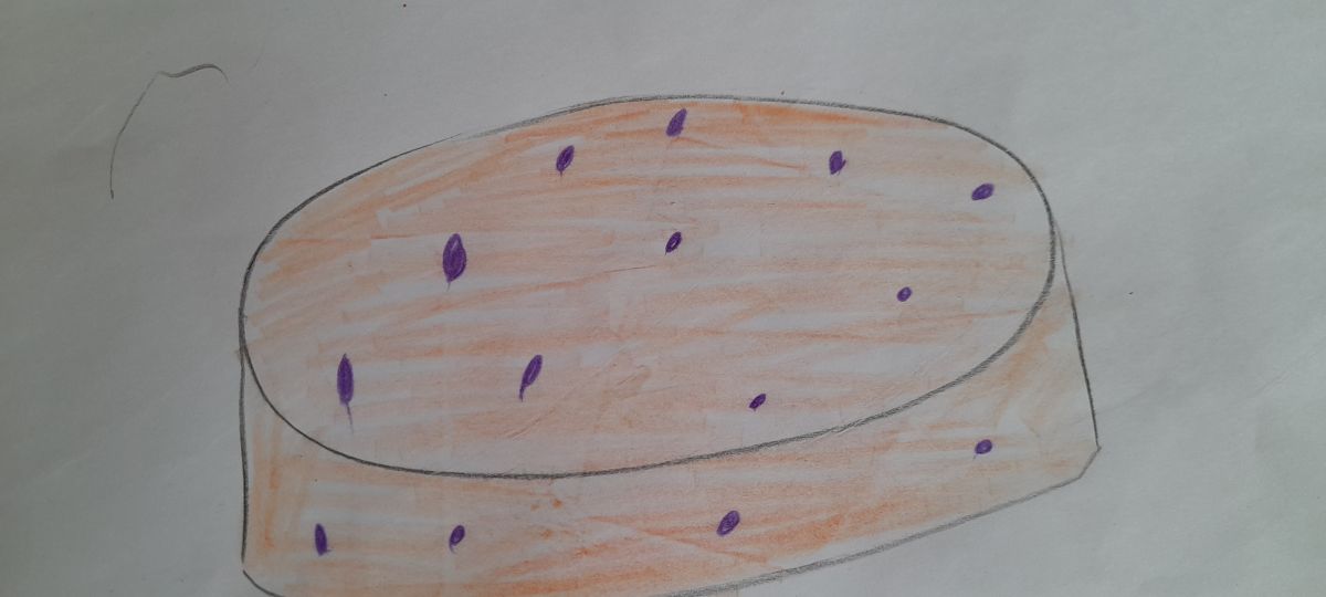 Михаил Антонович Донцов