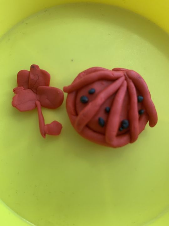 Майя Фёдорова