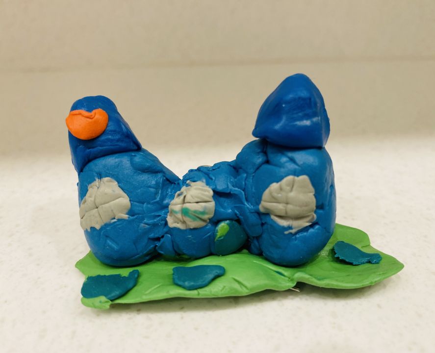 Екатерина Александровна Клюева