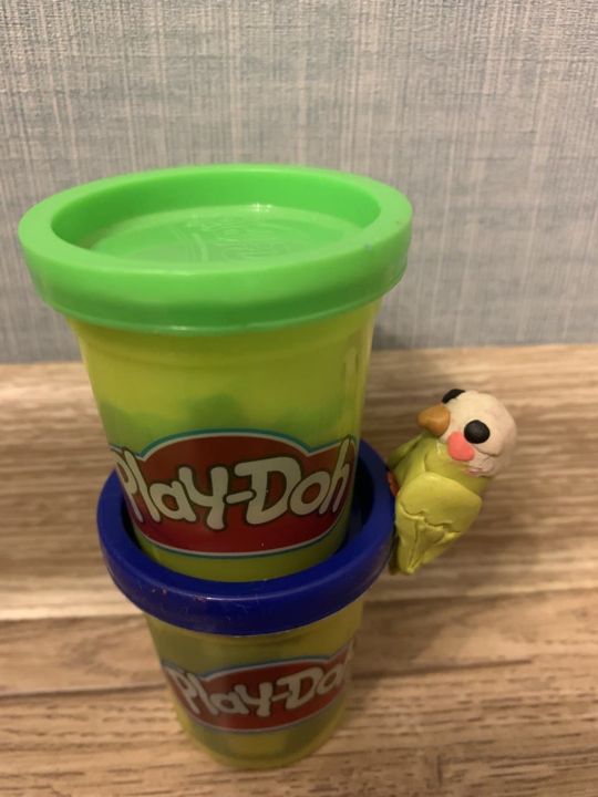 Даша Витальевна Сидорова