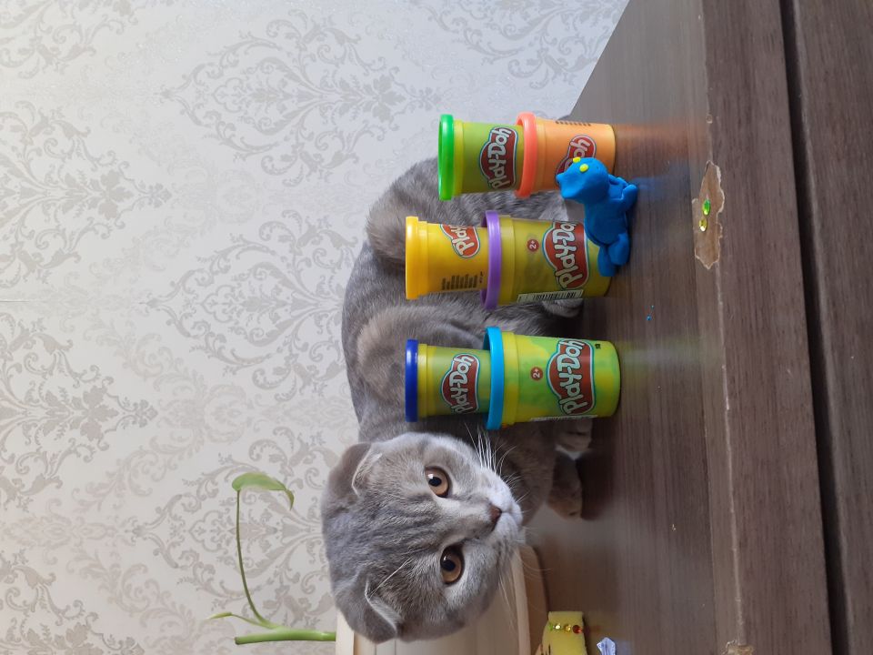 Ксения Игоревна Салихова