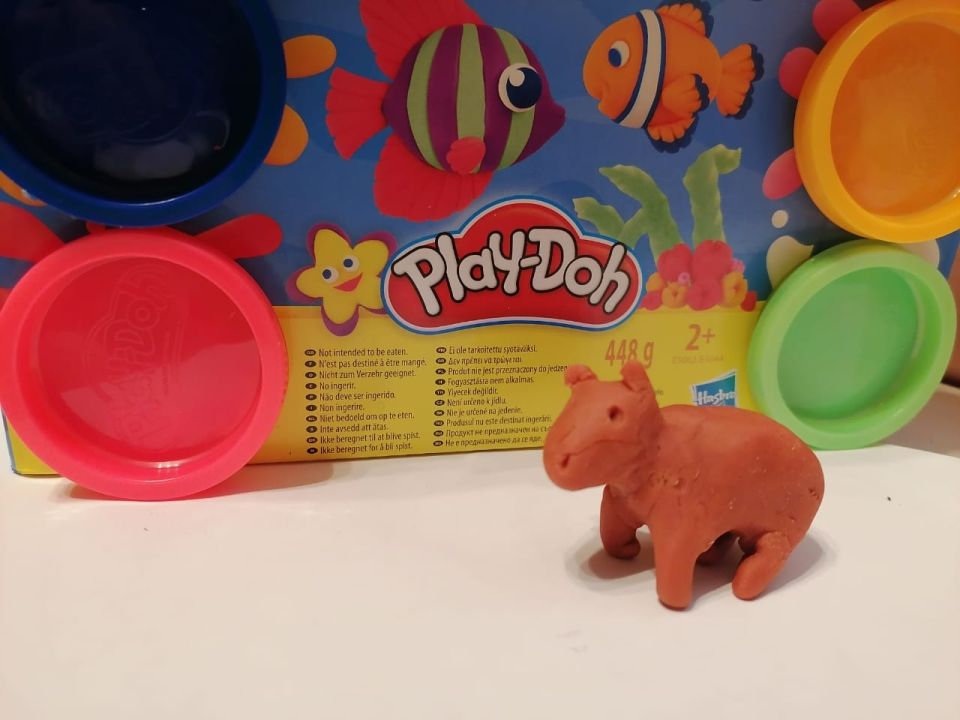 Тимур Леонидович Парников