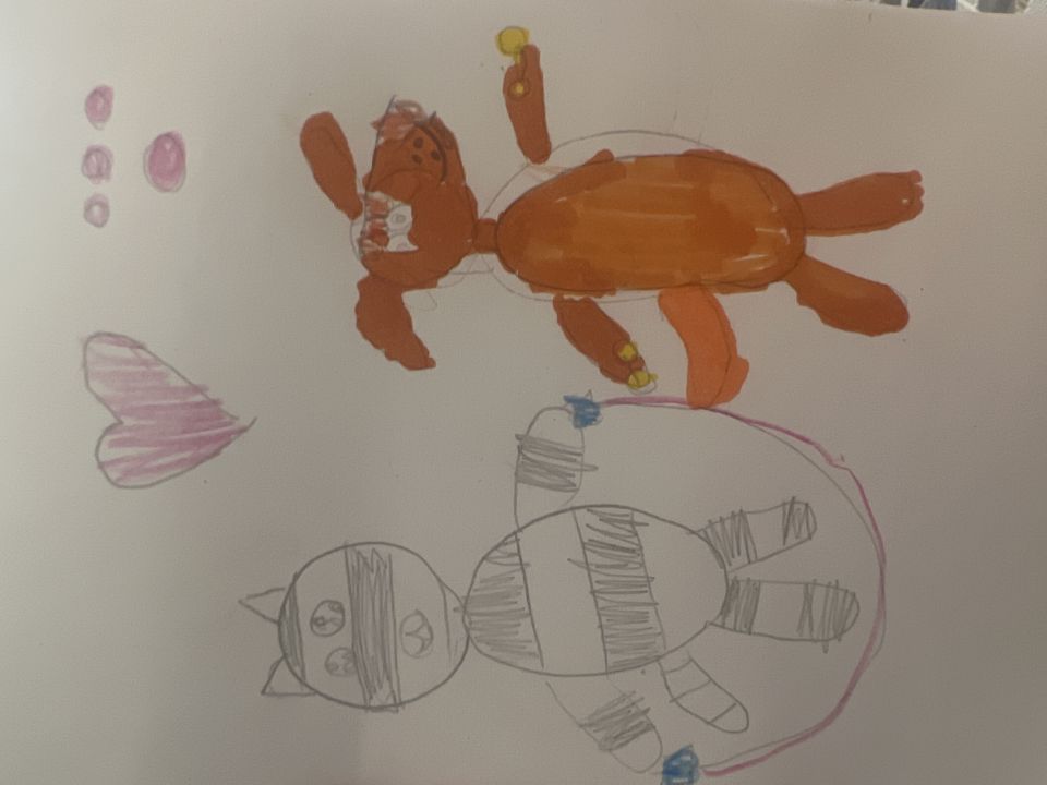 Софья Александровна Горох