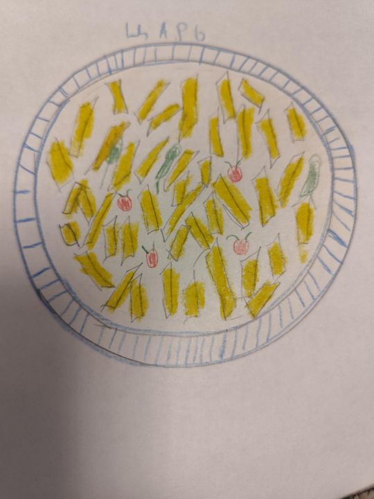 Костя Александрович Рой