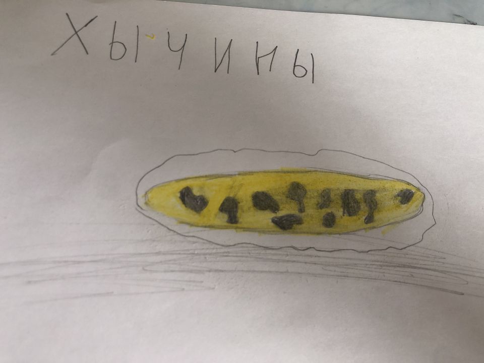 Алия Расуловна Фриева