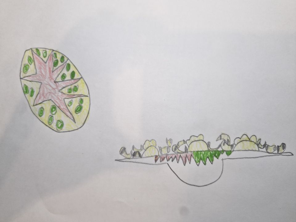 Марк Алексеевич Успанов