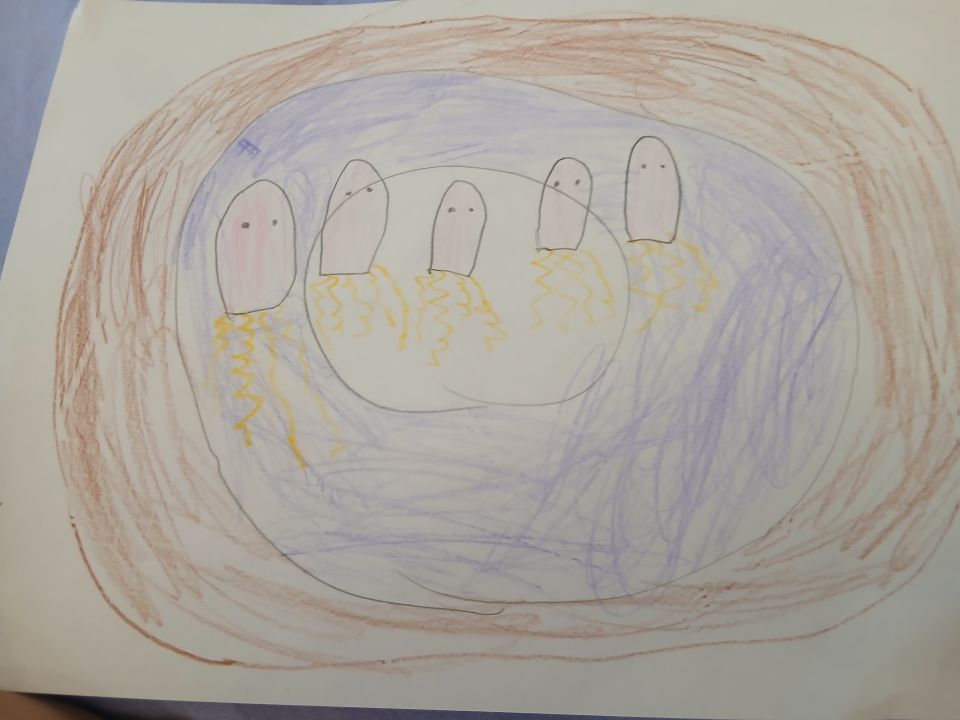 Дарья Александровна Морозова